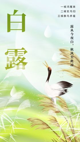 白露传统活动海报素材