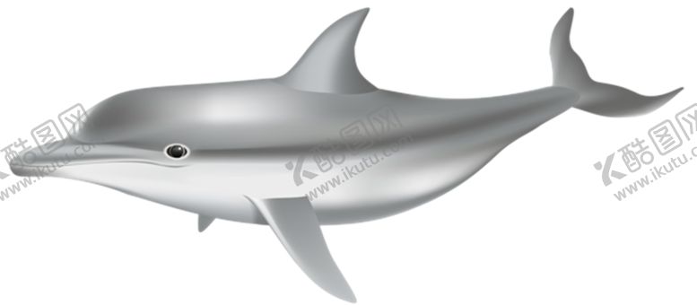 编号：24780609300001232162【酷图网】源文件下载-海豚