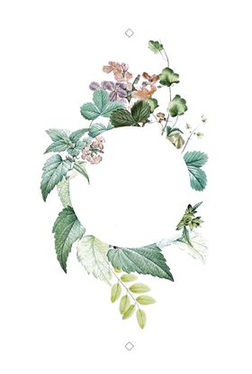 花边素材