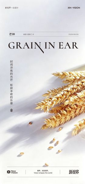 芒种海报中国二十四节气单图