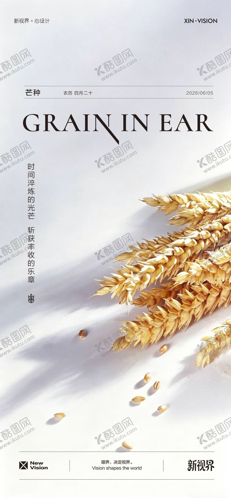 编号：99476605240209325601【酷图网】源文件下载-芒种海报二十四节气单图