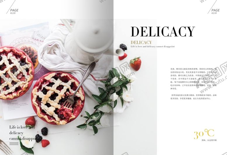 编号：97298204270105427409【酷图网】源文件下载-美食画册