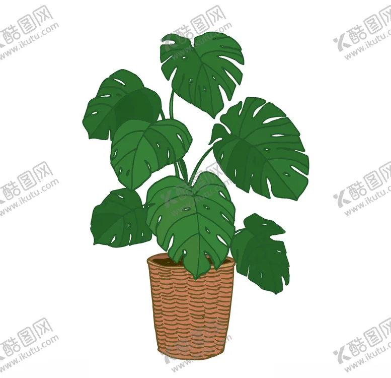 编号：48117206242330239332【酷图网】源文件下载-植物手绘