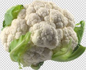 花菜