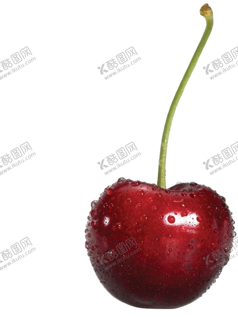 编号：35314903271226501664【酷图网】源文件下载-樱桃