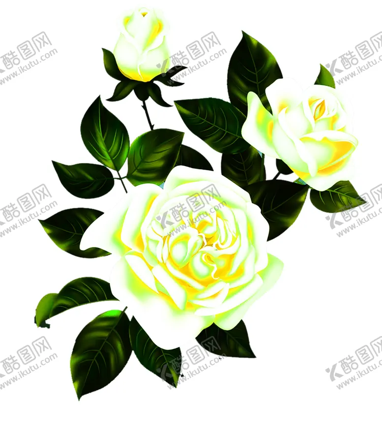 编号：86142106232212152155【酷图网】源文件下载-花素材