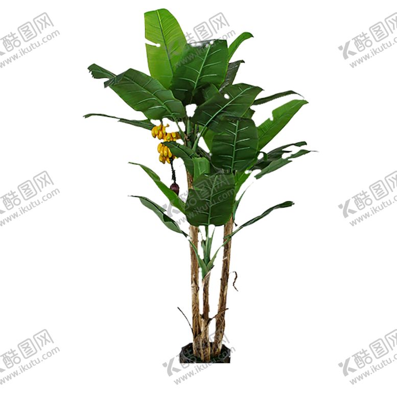 编号：75753707040525298840【酷图网】源文件下载-植物