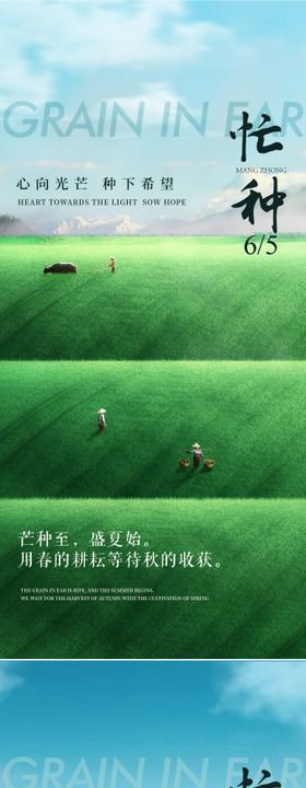 芒种插画系列海报
