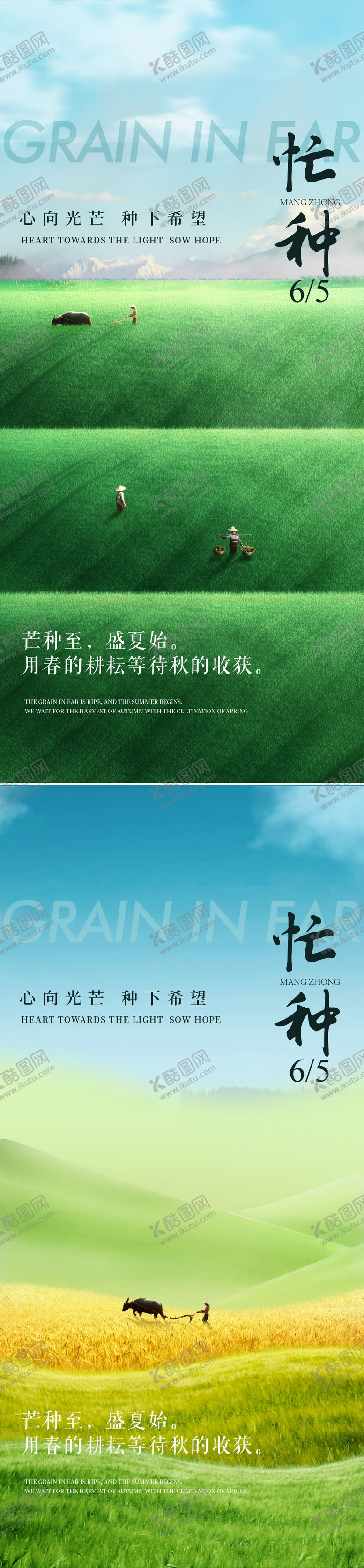 编号：16057906151828372321【酷图网】源文件下载-芒种插画系列海报