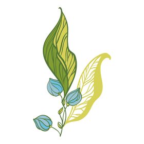 清新绿植