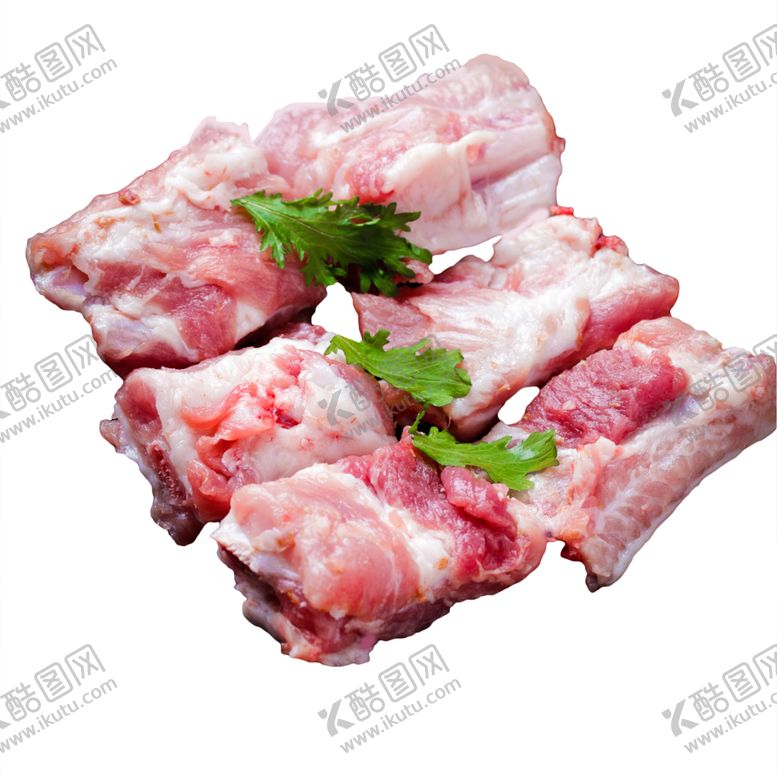 编号：20063905020130104119【酷图网】源文件下载-排骨