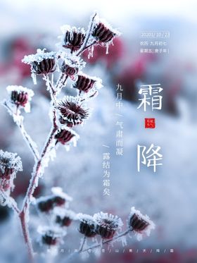 二十四节气霜降简约宣传广告海报