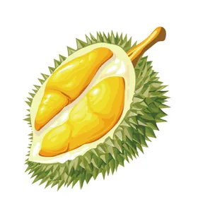 榴莲