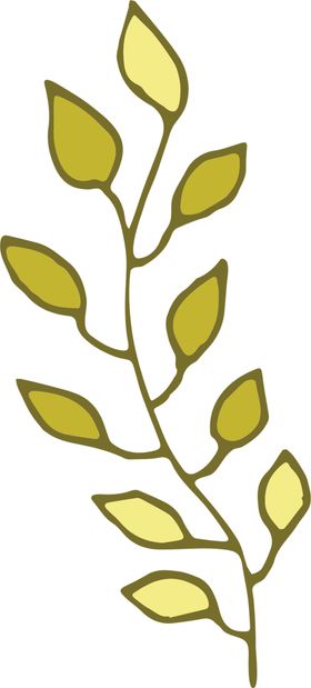 手绘植物