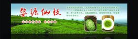 婺源仙枝绿茶