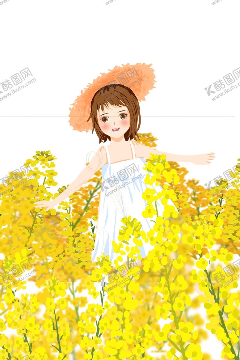 编号：93544809300621355018【酷图网】源文件下载-油菜花