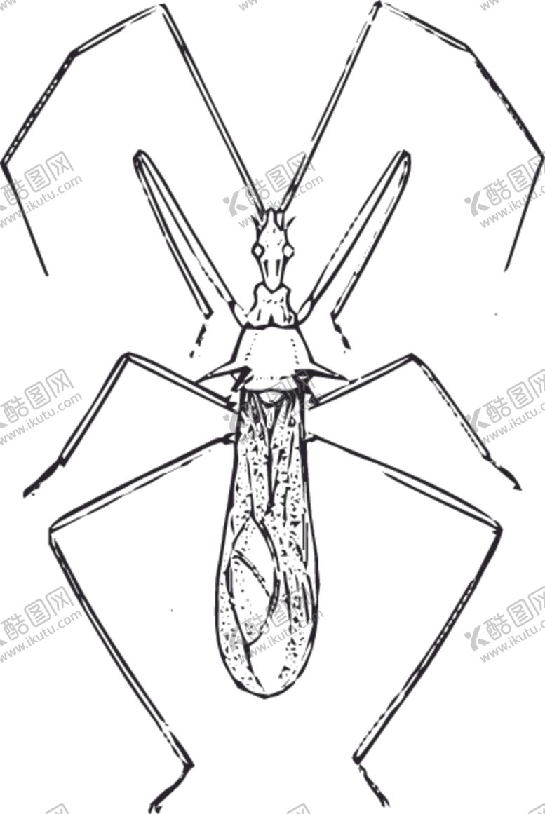 编号：10481010311423222702【酷图网】源文件下载-自然昆虫蝴蝶标本插画