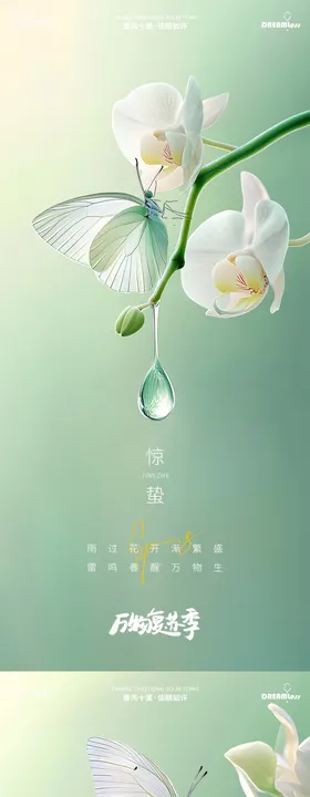 惊蛰蝴蝶兰昆虫摄影简约质感海报