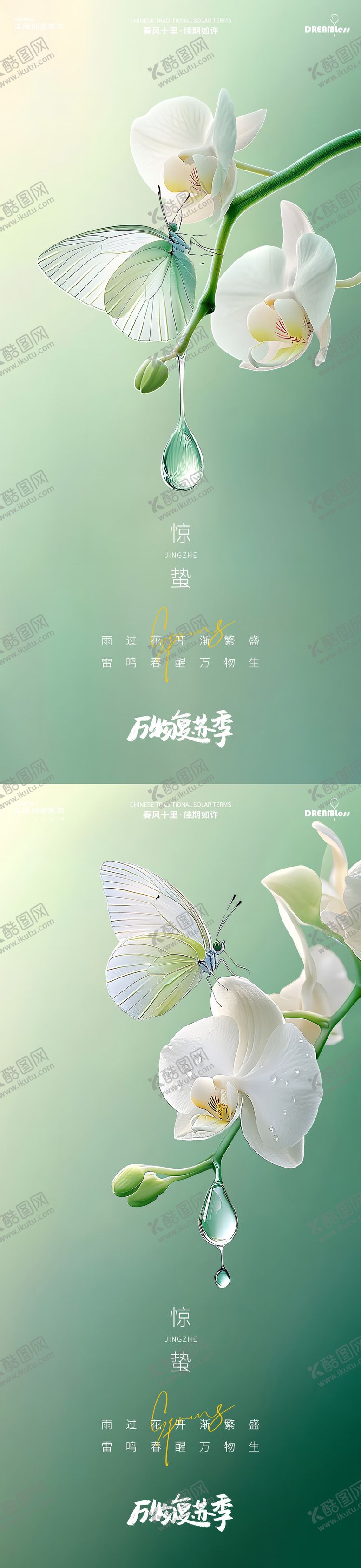 编号：54625712121837133774【酷图网】源文件下载-惊蛰蝴蝶兰昆虫摄影简约质感海报