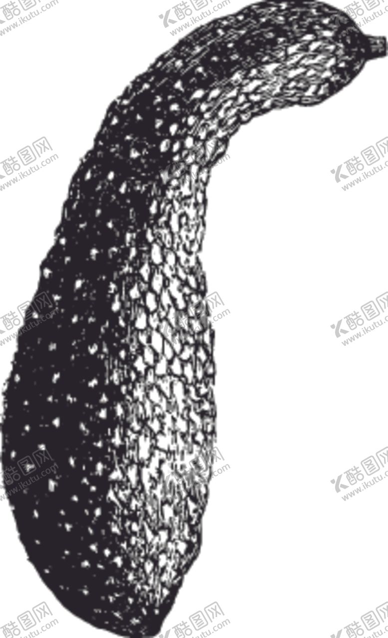 编号：76080210080602332944【酷图网】源文件下载-素描手绘蔬菜