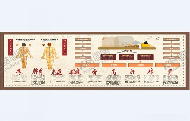 编号：48623902212208248857【酷图网】源文件下载-中医理疗经络图片