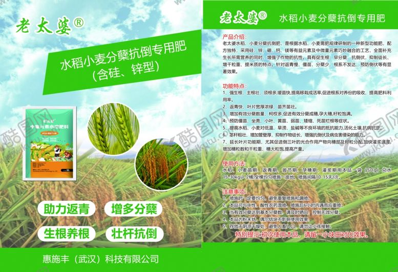 编号：42558512151725539255【酷图网】源文件下载-水稻宣传单彩页