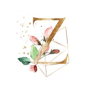 字母Z