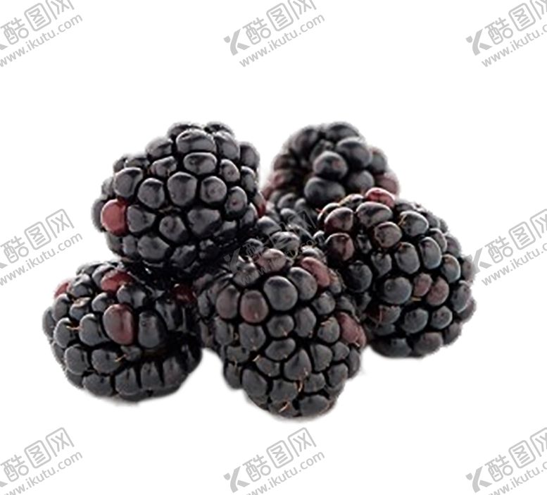编号：35365709151421477579【酷图网】源文件下载-水果