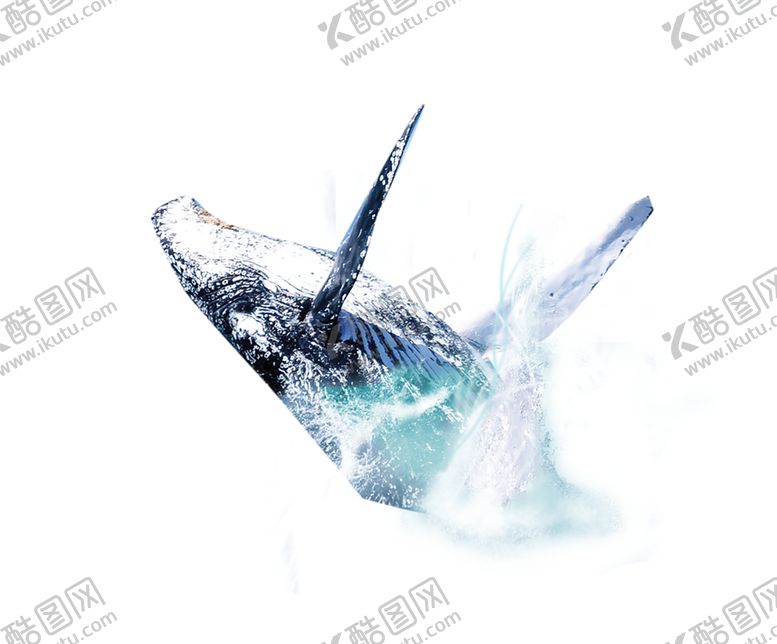 编号：36350010192247017843【酷图网】源文件下载-水花