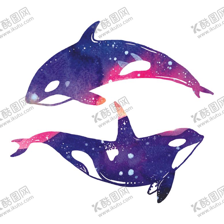 编号：78980807131538265478【酷图网】源文件下载-炫彩渐变鲸鱼图案