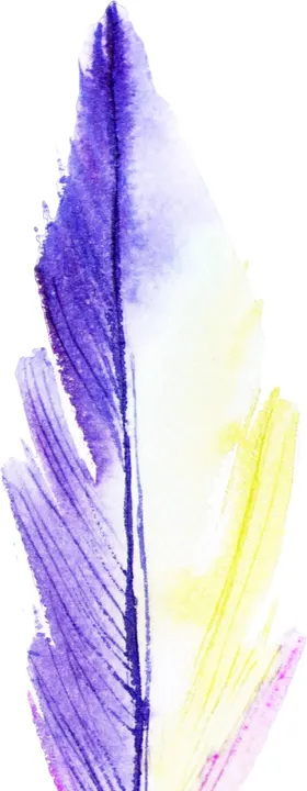 羽毛素材炫彩鸟彩色印花