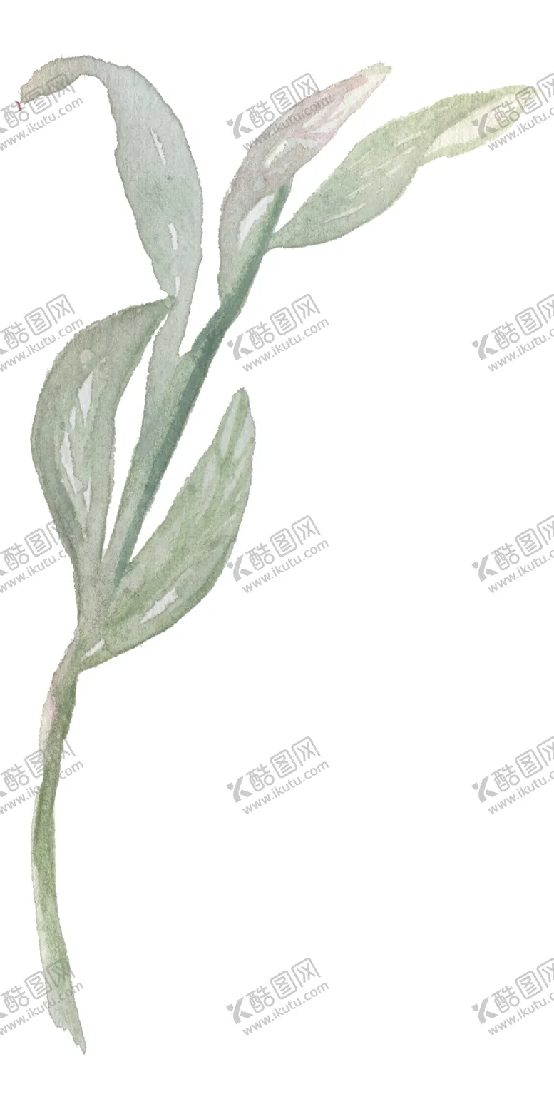 编号：77905804232344236439【酷图网】源文件下载-北欧小清新水彩花朵插画