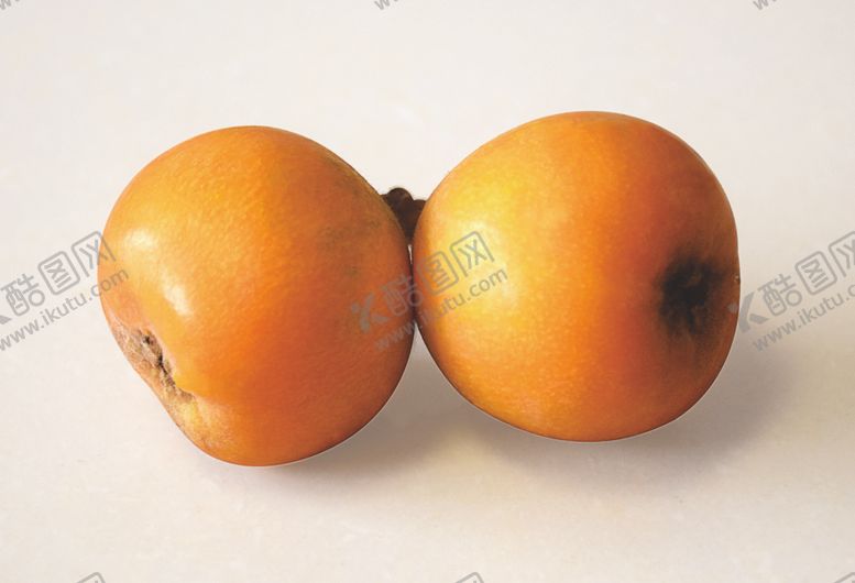 编号：80383010081300402168【酷图网】源文件下载-枇杷