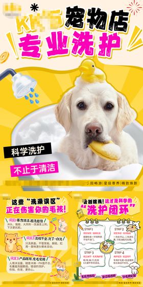 猫咪宠物店寄养食物