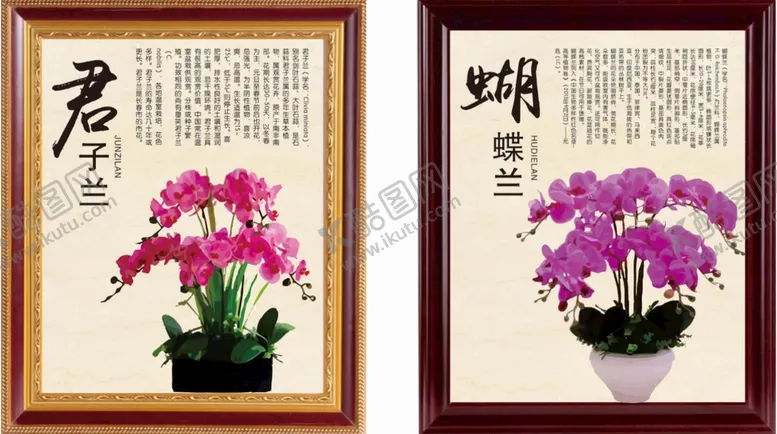 编号：94553611280131124510【酷图网】源文件下载-植物画框