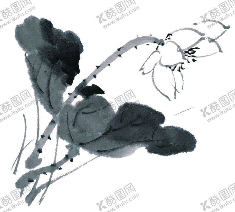 编号：21863909240551127980【酷图网】源文件下载-荷花