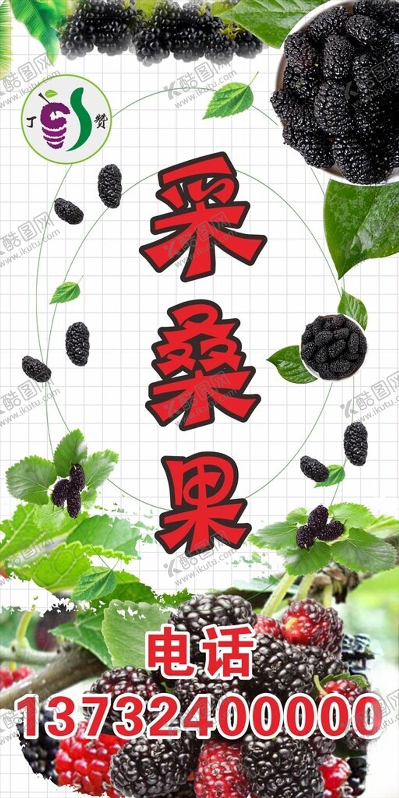 编号：62625801131545409675【酷图网】源文件下载-桑果采摘水果丁赞