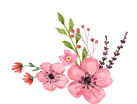 手绘粉色桃花免扣素材图片卉油画矢量水彩