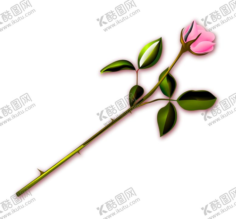 编号：69783409261458039374【酷图网】源文件下载-花素材