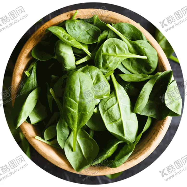 编号：80906406240548169667【酷图网】源文件下载-菠菜