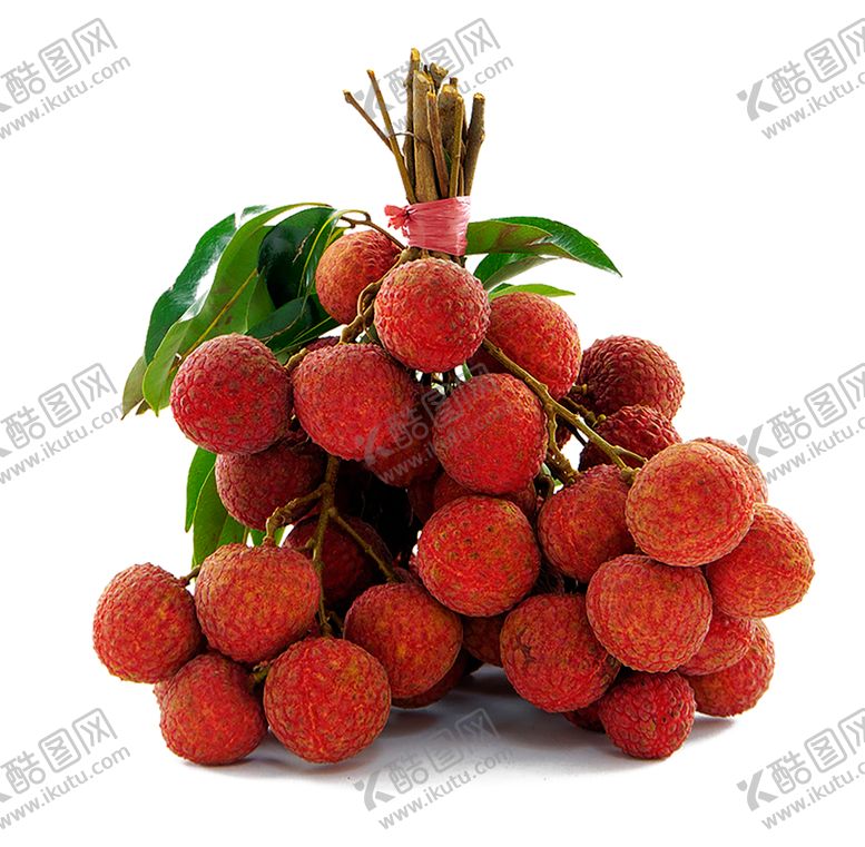 编号：84556510052000467701【酷图网】源文件下载-荔枝