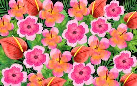 鲜花