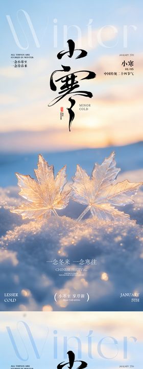 小寒雪花枫叶系列海报