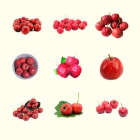 山楂