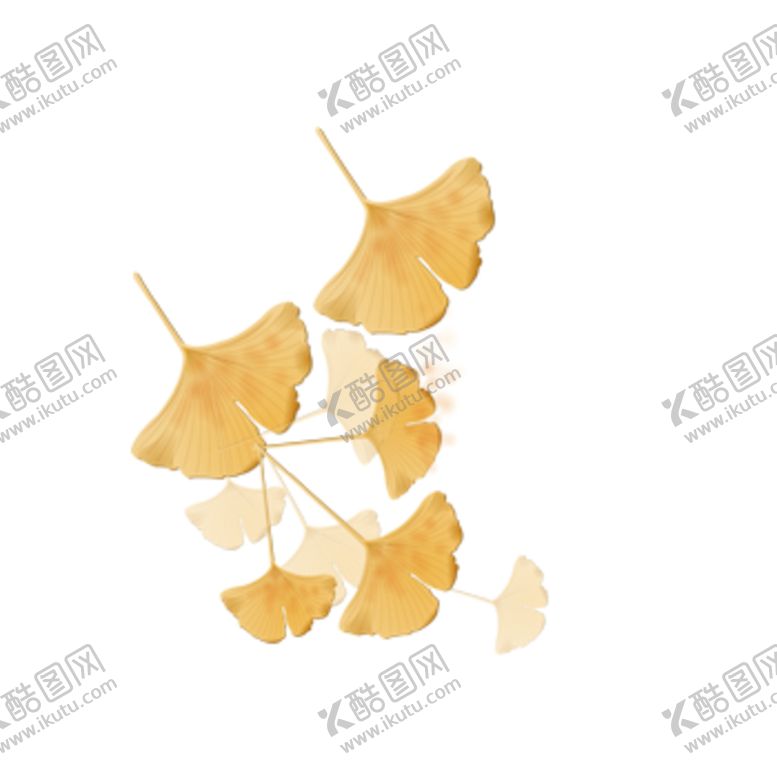 编号：43331005031751518048【酷图网】源文件下载-秋天银杏叶
