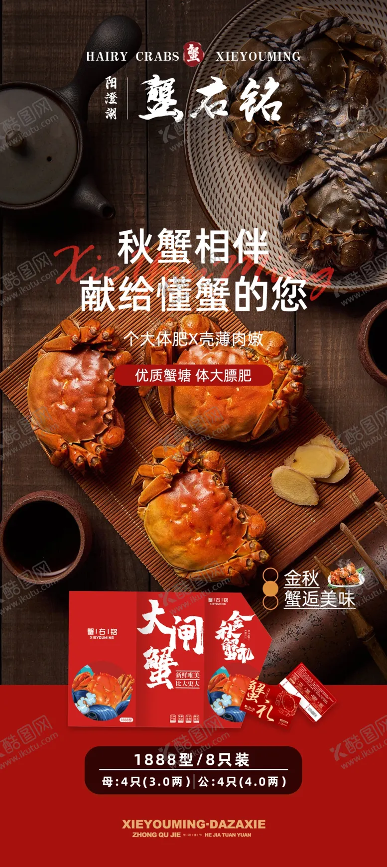 编号：50137502182133465857【酷图网】源文件下载-大闸蟹