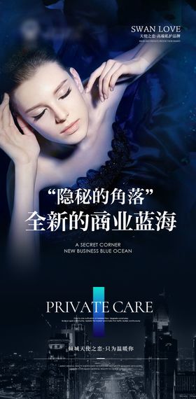 私密招商海报