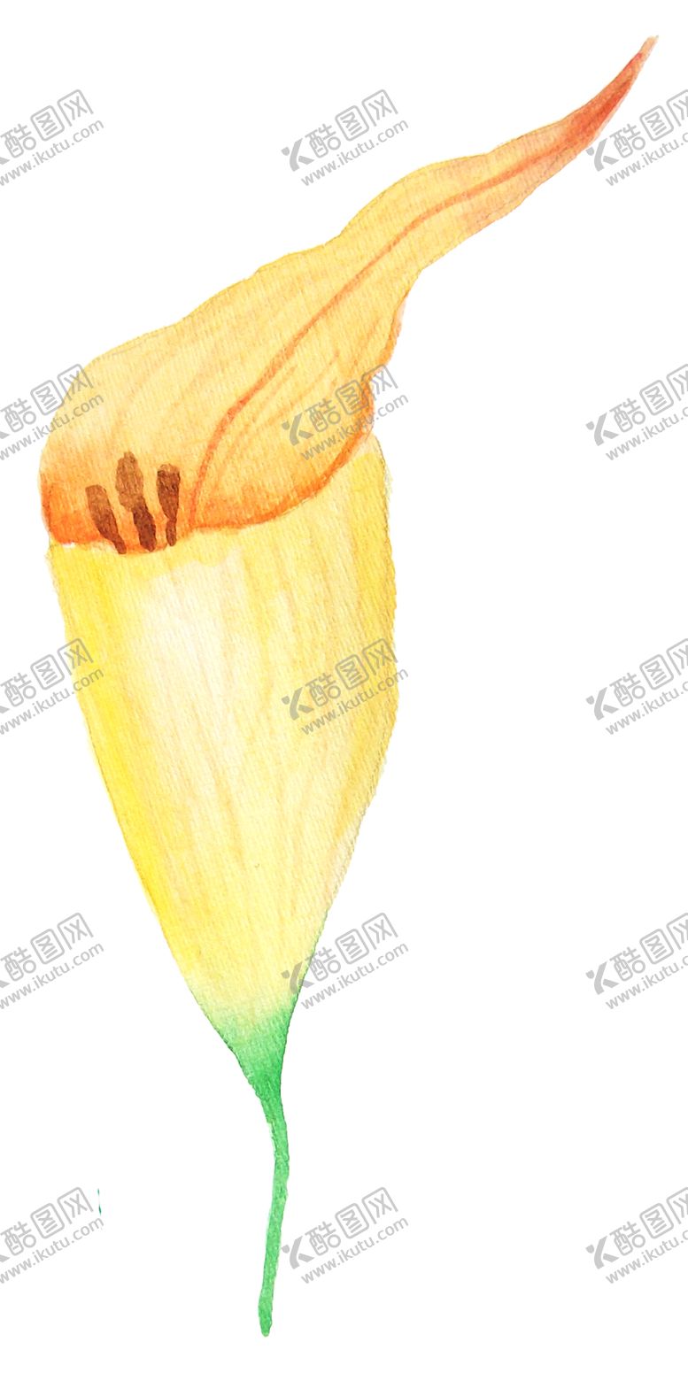 编号：40117809220442204216【酷图网】源文件下载-彩绘水彩花