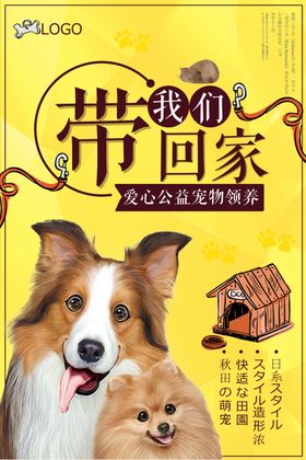 宠物领养海报