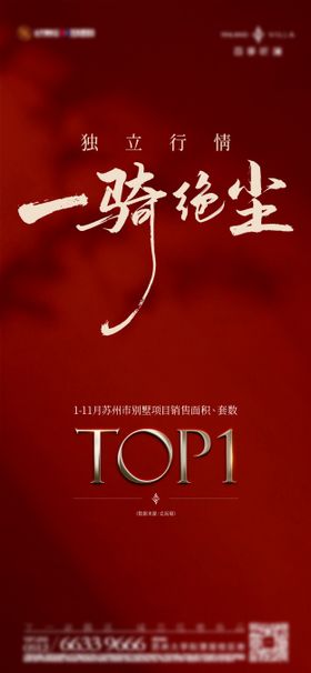 TOP1热销数据宣传海报